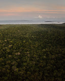 Our environmental impact