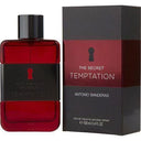 Antonio Banderas - The Secret Temptation