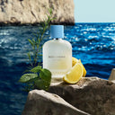 Dolce & Gabbana Light Blue