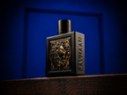 Perfume Masculino Rayhaan Lion EDP 100 ml